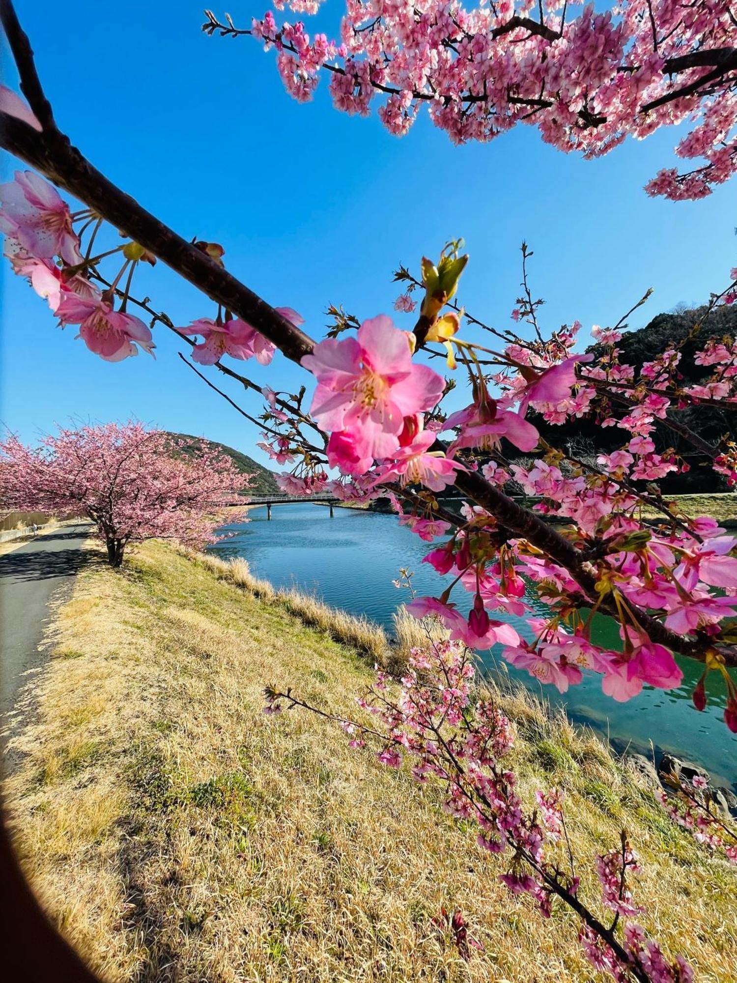 Patagonia Home Shimoda  Buitenkant foto